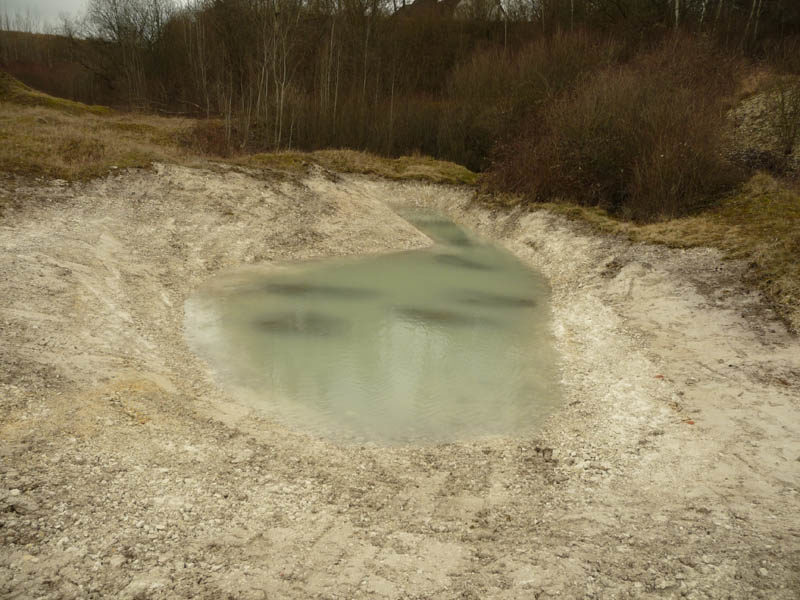 vertieftes Gewässer im Kalksteinbruch (12.03.2009) (Wird bei Klick vergrößert)