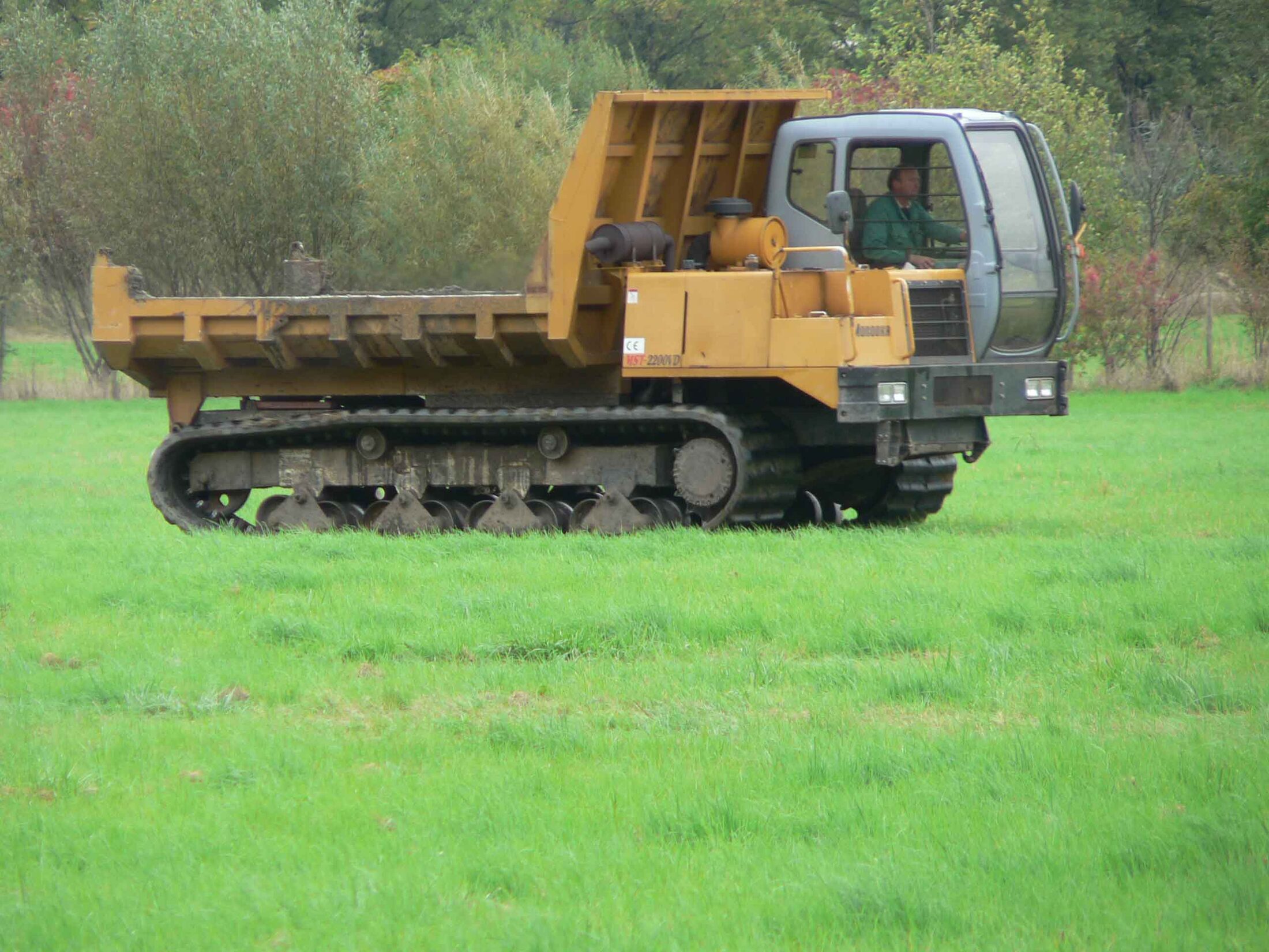 Moorraupe (Detailaufnahme vom 02.10.2009) (Wird bei Klick vergrößert)