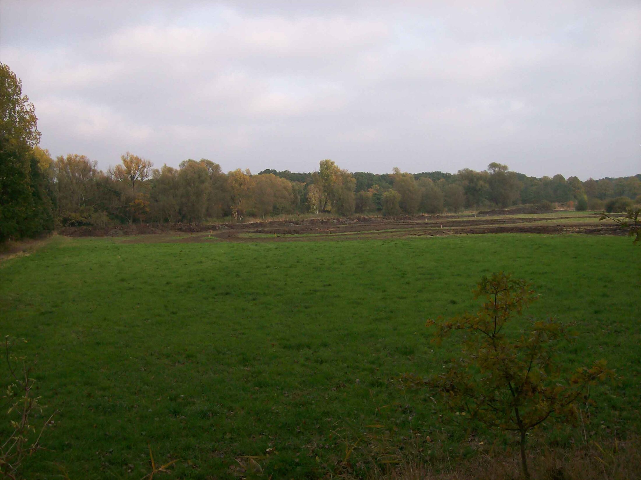 Fläche Bodenlager Nord (Detailaufnahme vom 22.10.2009) (Wird bei Klick vergrößert)