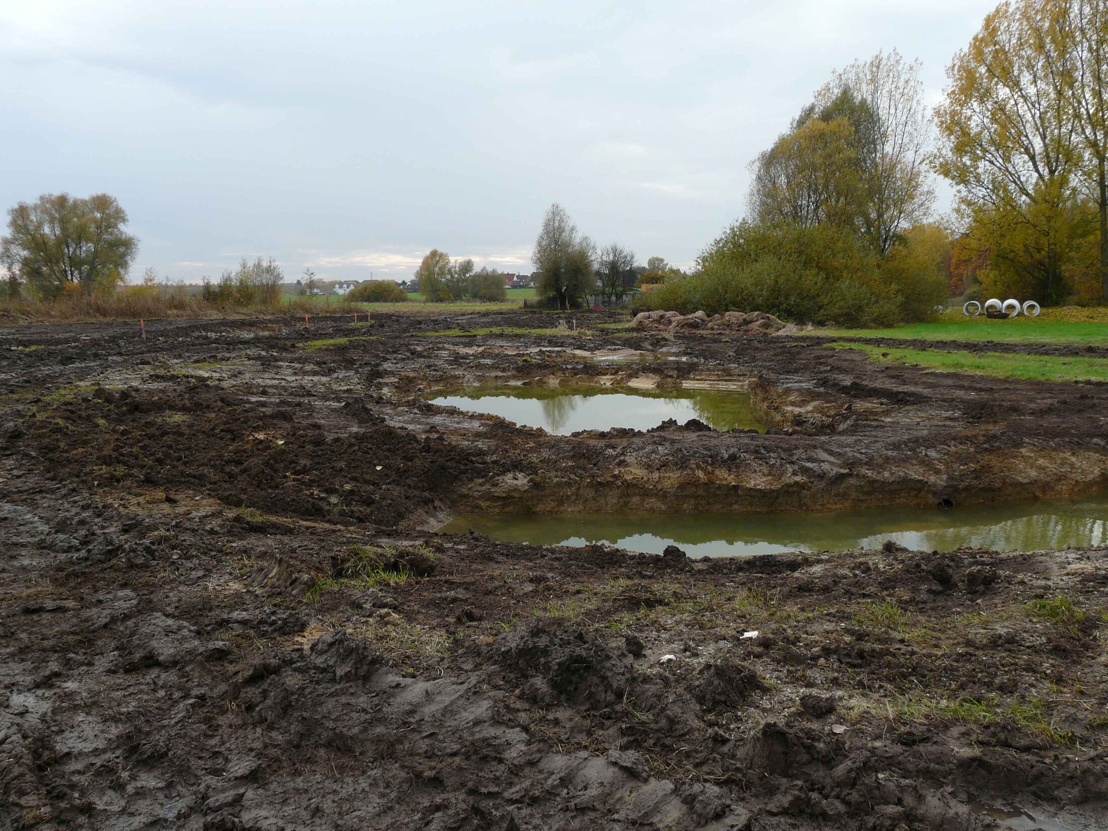 Stillgewässer Nord (Detailaufnahme vom 27.10.2009) (Wird bei Klick vergrößert)