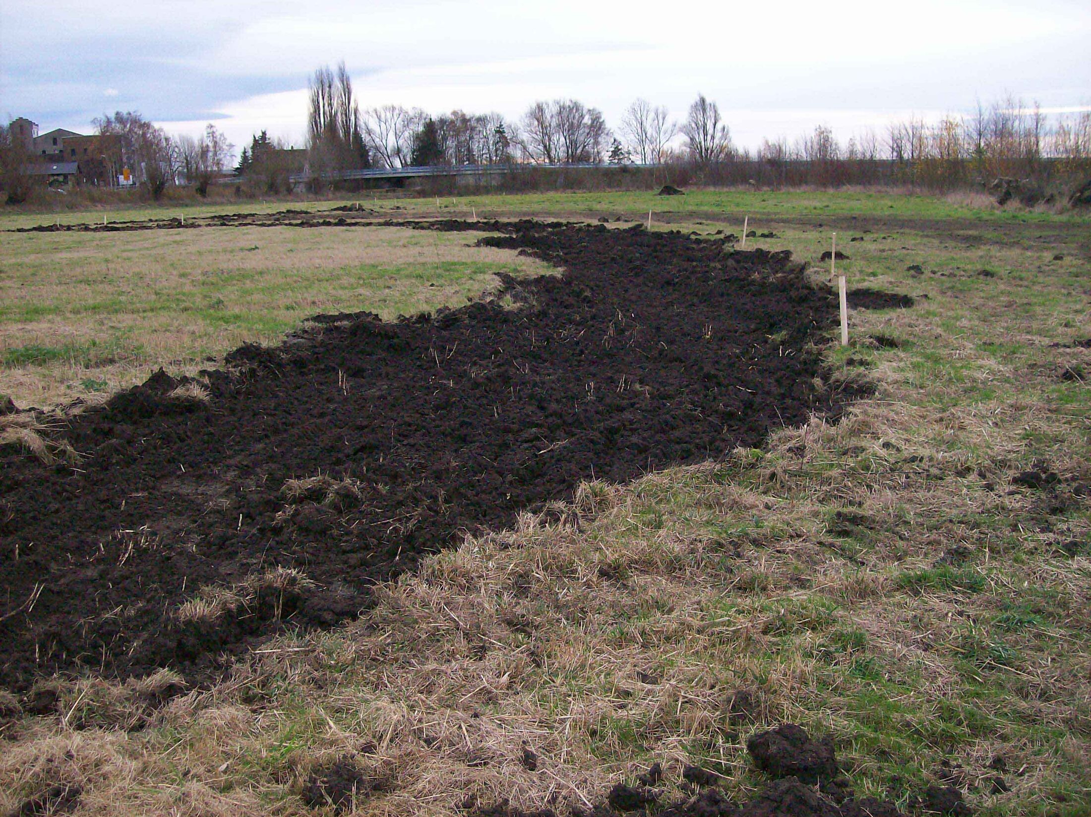 Gerinne Neu (Detailaufnahme vom 18.11.2009) (Wird bei Klick vergrößert)