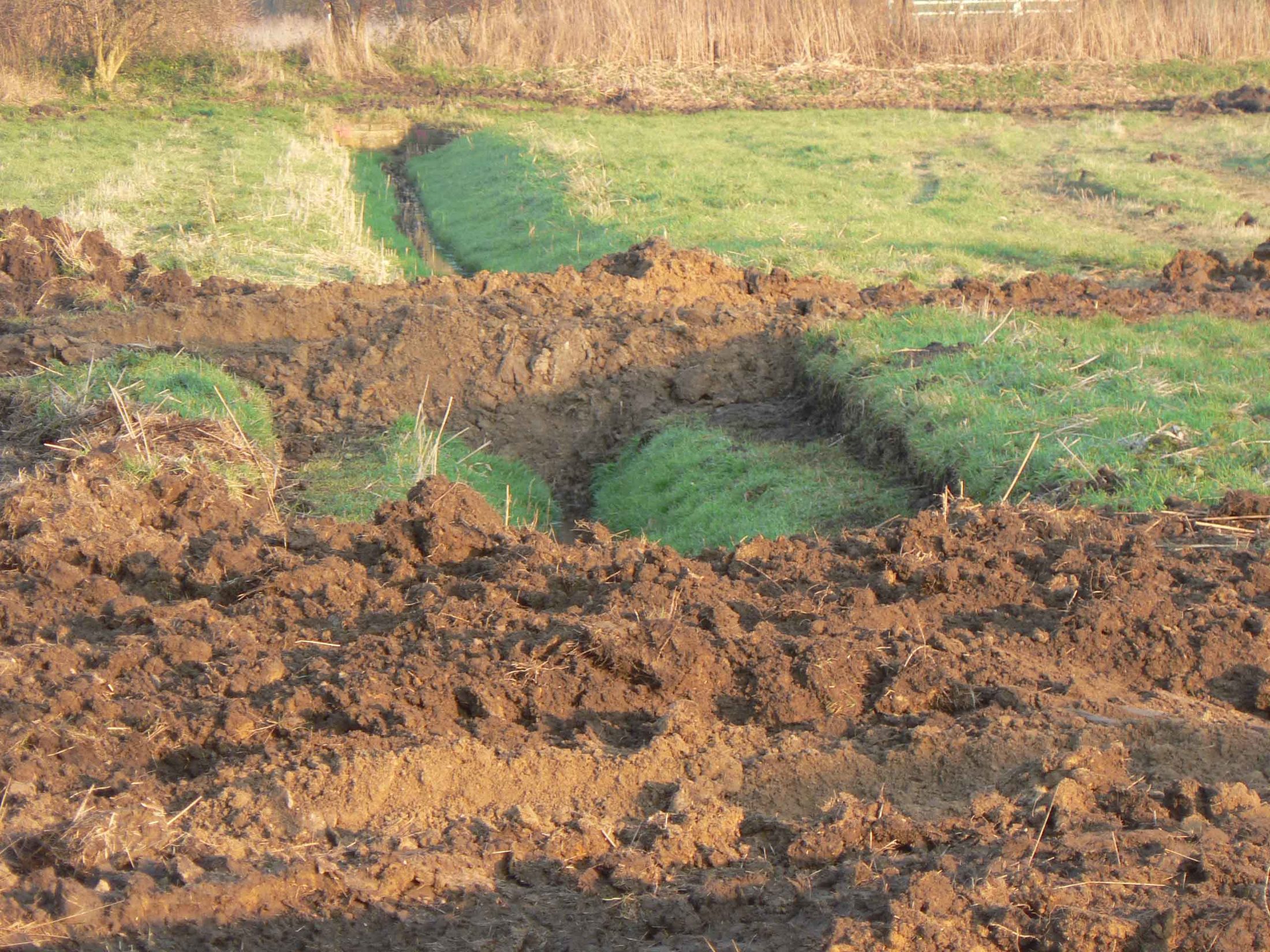 Kaulegraben (Detailaufnahme vom 02.12.2009) (Wird bei Klick vergrößert)