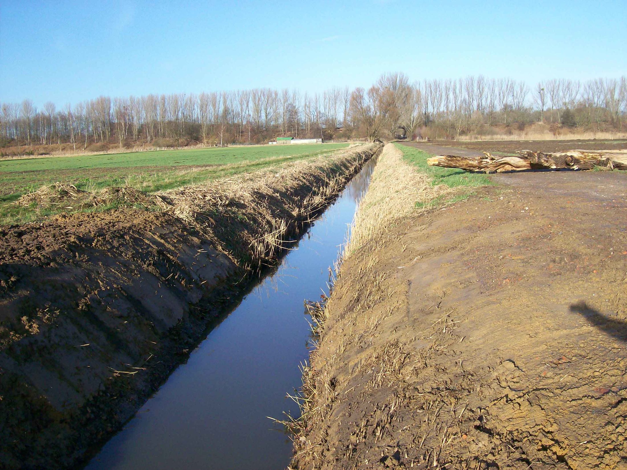 Abfluss neue Mittelriede (Detailaufnahme vom 07.12.2009) (Wird bei Klick vergrößert)