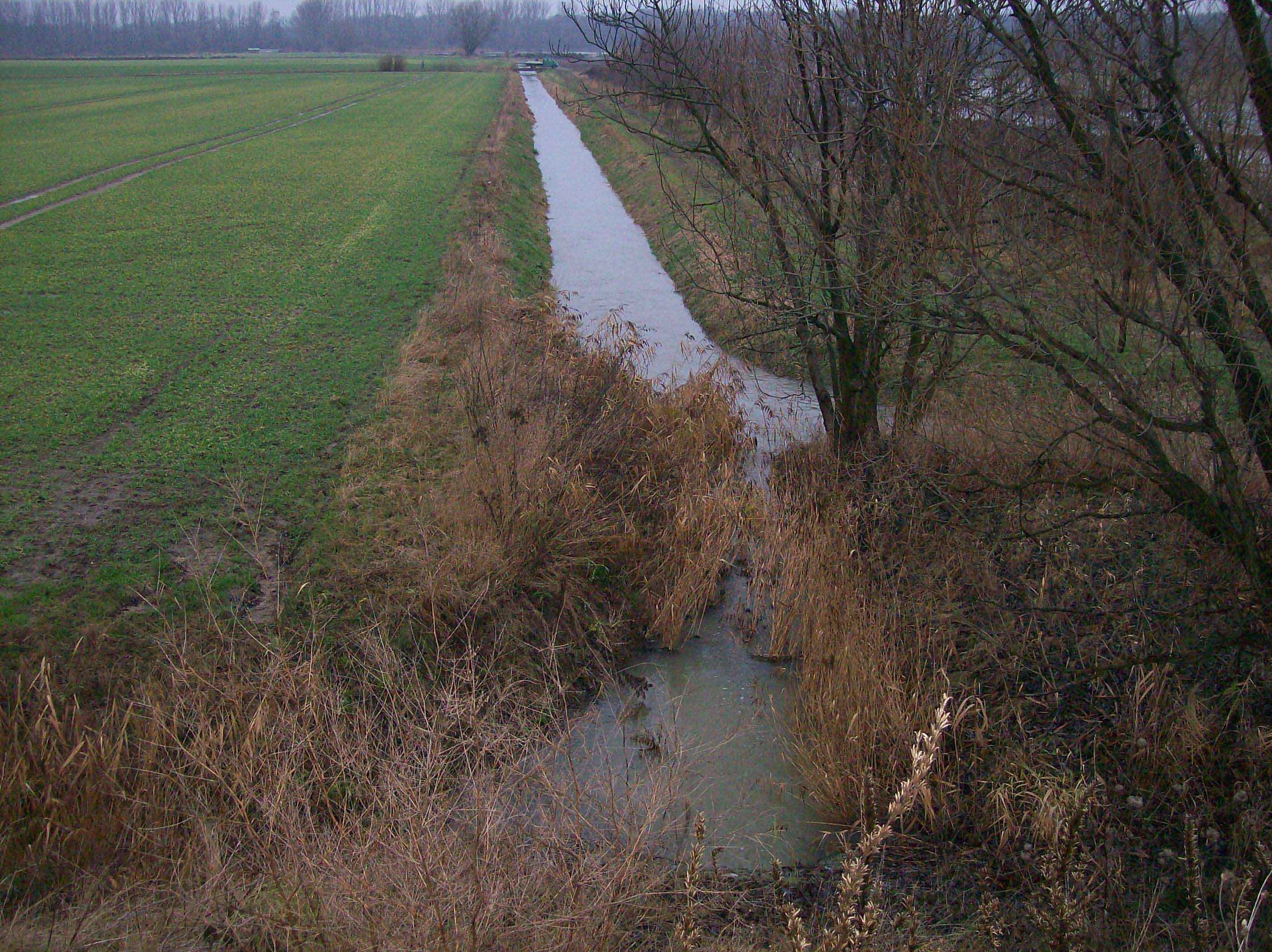 Abfluss Mittelriede (Detailaufnahme vom 11.12.2009) (Wird bei Klick vergrößert)