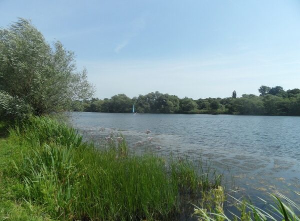 Abbildung 5: Aussicht auf den Südsee (Wird bei Klick vergrößert)