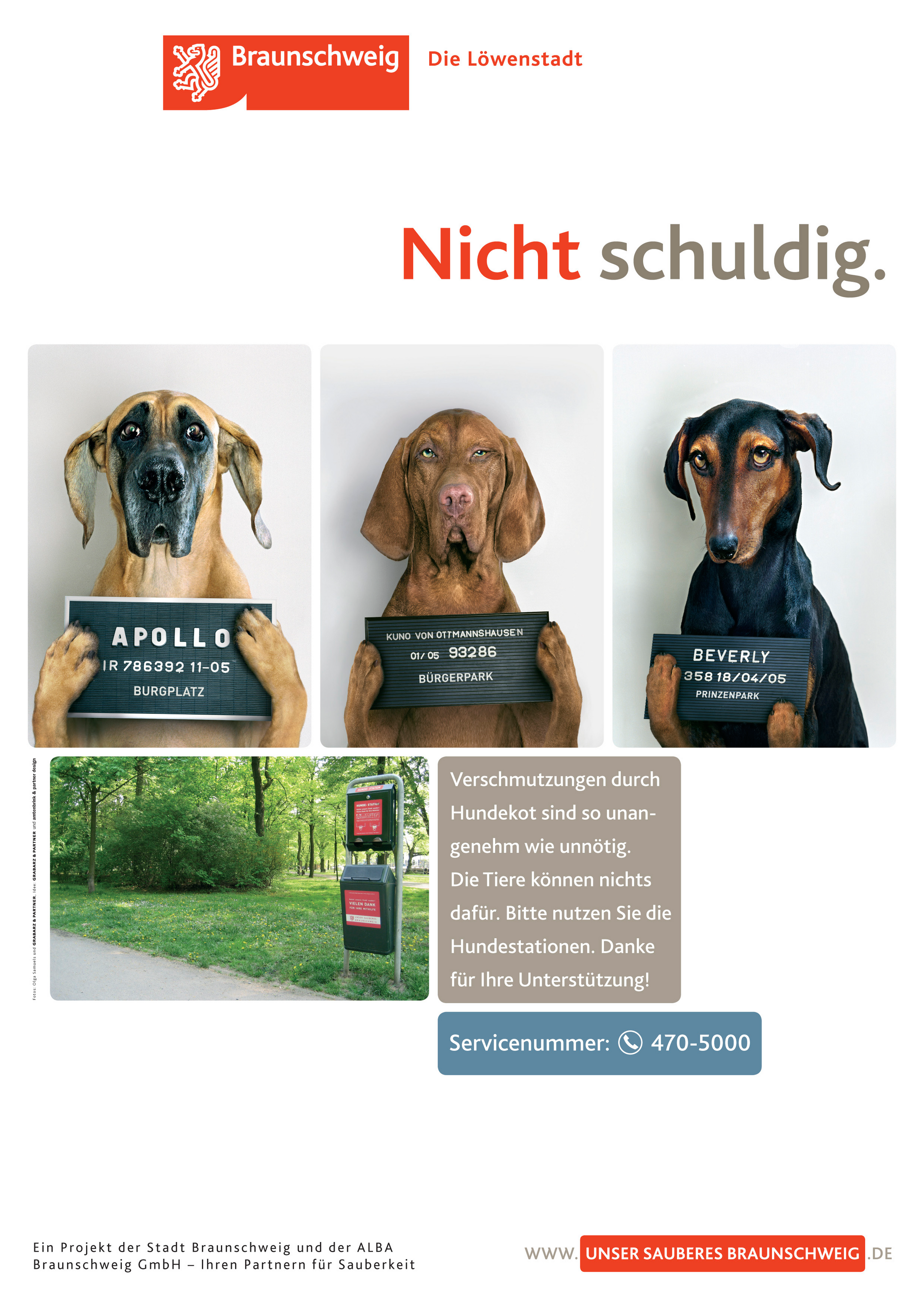 Die Hunde sind unschuldig. (Wird bei Klick vergrößert)