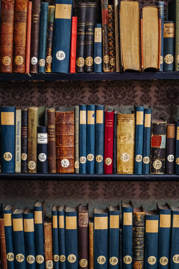 Verschiedene Bücher aus dem Bücherregal Wilhelm Raabes, zumeist blaue Buchrücken mit Inventarisierungsnummern (Wird bei Klick vergrößert)