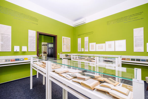 Der Ausstellungsraum, der sich inhaltlich auf den Schriftsteller Wilhelm Raabe bezieht. In Glasvitrinen sind offen seine Bücher ausgelegt, an den grünen Wänden befinden sich verschiedene Infotafeln sowie Abbildungen seiner Originalmanuskripte (Wird bei Klick vergrößert)