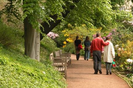 Im Botanischen Garten