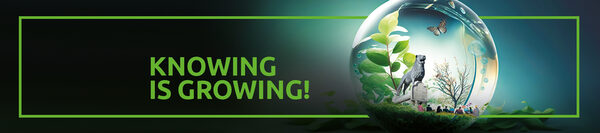 Knowing is growing Banner (Wird bei Klick vergrößert)