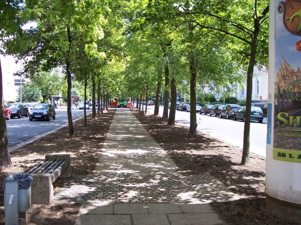 Jasperallee Sanierung der Rasenflächen (Wird bei Klick vergrößert)