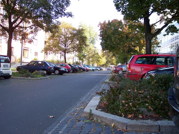 Bäume und Unterpflanzung in der Schleinitzstraße