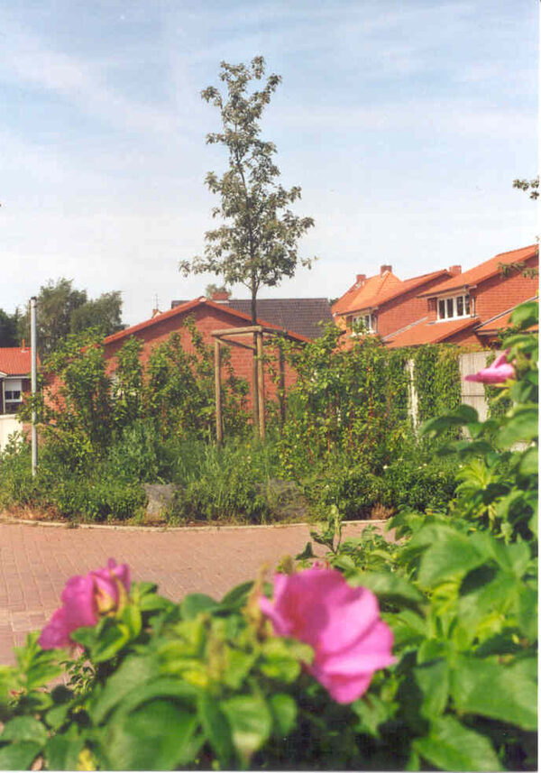 Völkenrode Neubaugebiet (Wird bei Klick vergrößert)