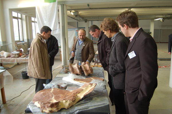 Erste Exponate in der Ausstellungshalle im Rebenpark Prof. Joger (Staatliches Naturhistorisches Museum Braunschweig) erklärt die Restauration von Saurierknochen (Wird bei Klick vergrößert)