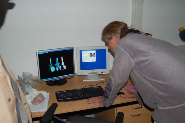 Nach dem Scannen über Laser werden die Saurierwirbel im Computer sichtbar. (Prof. Joger, Staatliches Naturhistorisches Museum Braunschweig) (Wird bei Klick vergrößert)