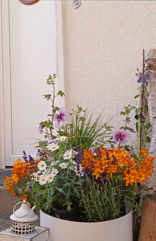 Blütenreich und bienenfreundlich: So kann die Bepflanzung eines Hauseingangs aussehen. (Wird bei Klick vergrößert)
