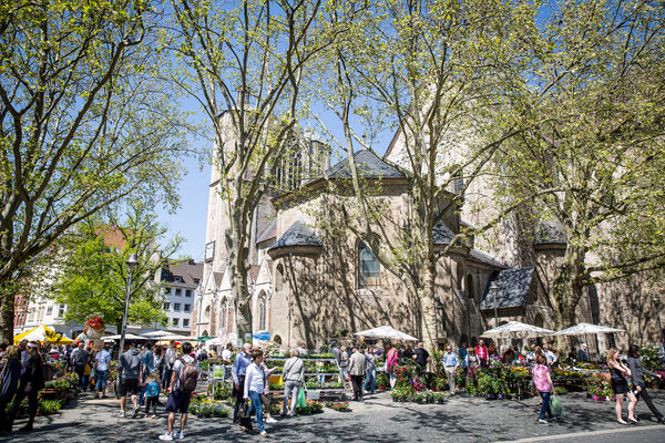 Rund um den Dom St. Blasii bieten Blumenhändlerinnen und (Wird bei Klick vergrößert)