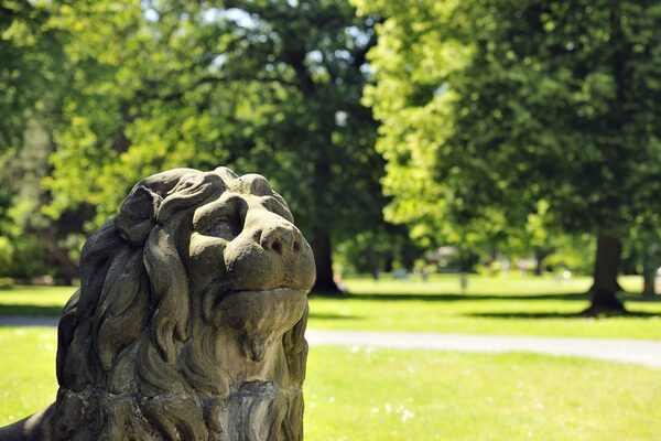 „Grünes Braunschweig“ – diese Pinnwand auf Pinterest zeigt unter anderem den Inselwallpark und macht Lust auf Sommer. (Wird bei Klick vergrößert)