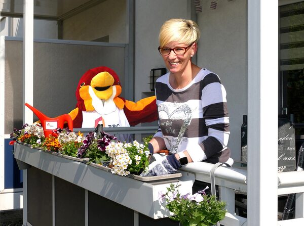 Ab sofort können sich Balkonbesitzerinnen und -besitzer aus Braunschweig für den BBG-Balkonwettbewerb anmelden – auch für die erweiterte Sonderkategorie „Buffet für Insekten“, für die es keinen Balkon braucht. Auch Nicole Pivetti wird daran teilnehmen und bereitet ihren Balkon vor. (Wird bei Klick vergrößert)