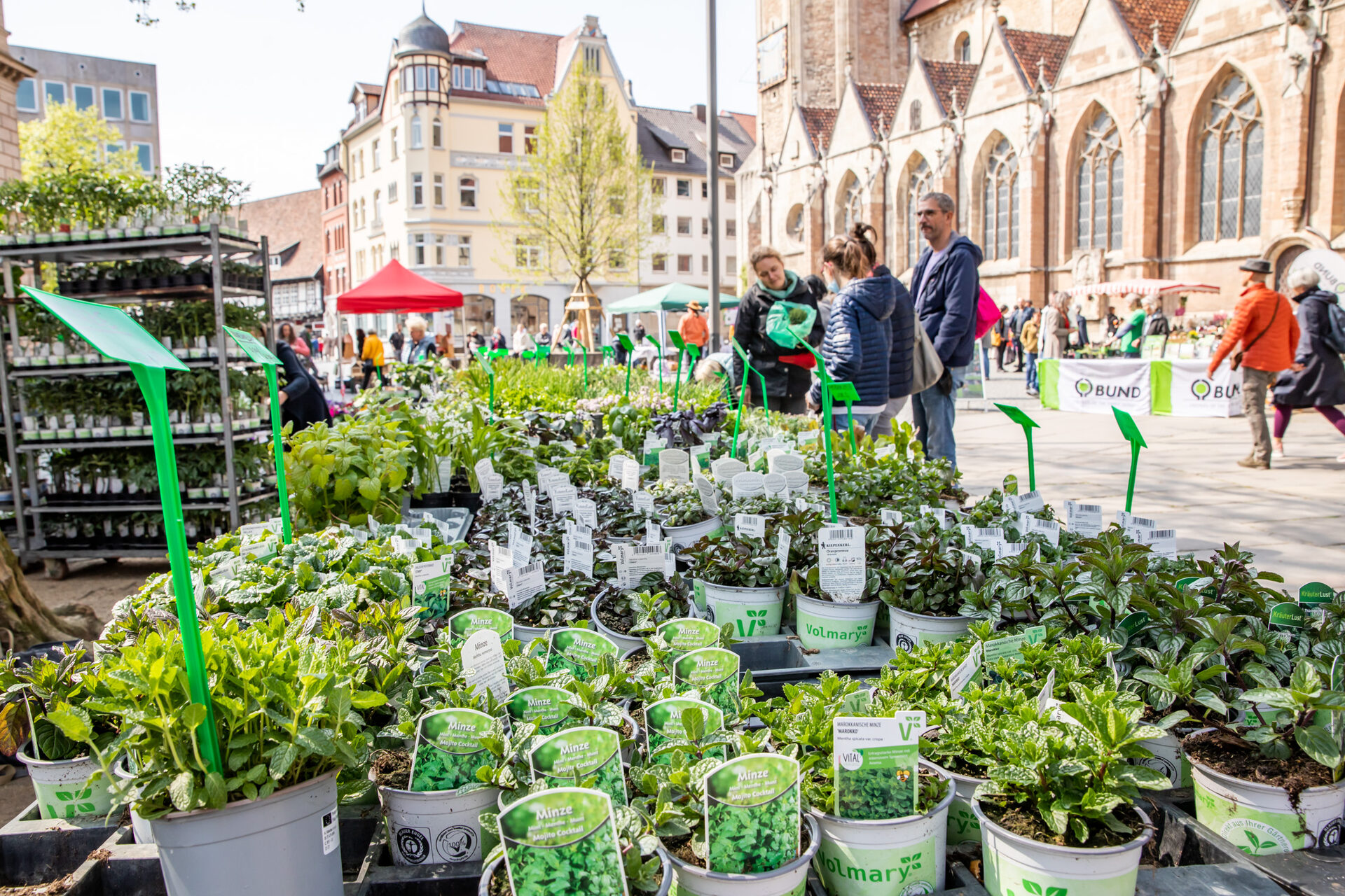 Natur zum Sehen und Schmecken in der Innenstadt Stadt Braunschweig