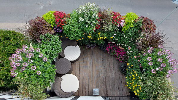 Mike Hirschfelds Balkon gewann in der Kategorie Blumenpracht. (Wird bei Klick vergrößert)