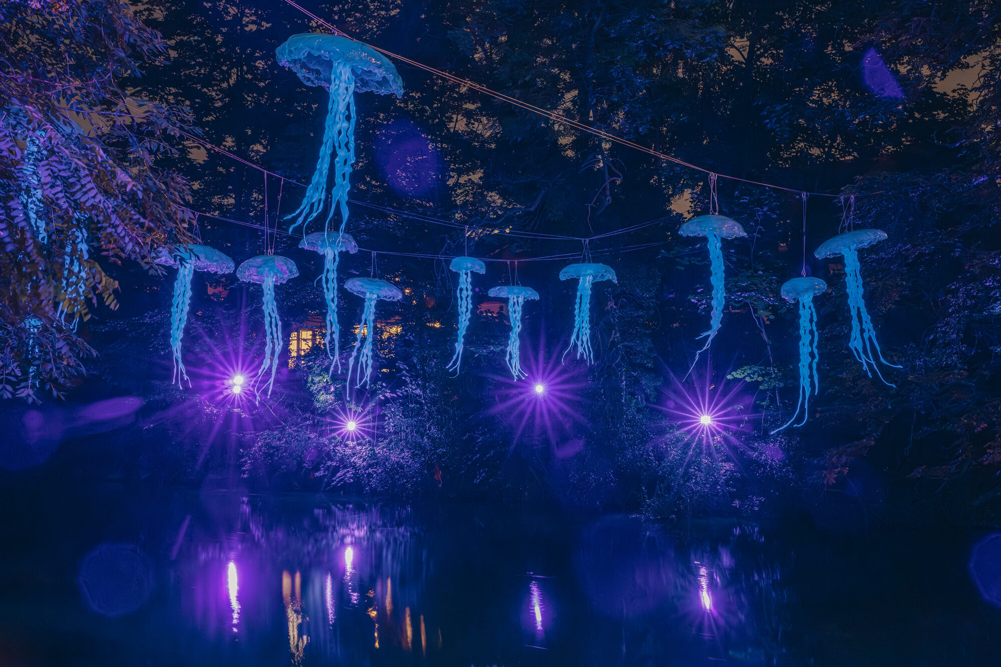 Noch bis zum 6. Oktober können sich Besucherinnen und Besucher des Lichtparcours von den leuchtenden Kunstwerken verzaubern lassen. (Wird bei Klick vergrößert)