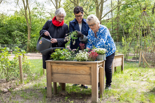 Beim diesjährigen BBG-Balkonwettbewerb freuen sich (v. l. n. r.) Ulrike Neumann (Braunschweig Stadtmarketing GmbH), Karin Stemmer (Braunschweiger Baugenossenschaft eG) und Bürgermeisterin Annegret Ihbe (Stadt Braunschweig) auf viele kreative Einsendungen. (Wird bei Klick vergrößert)