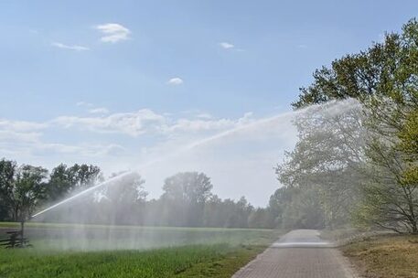 Bewässerung auf einem Feld