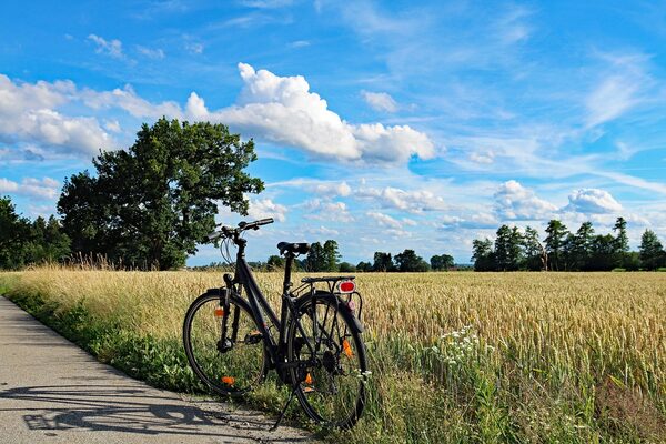 Das Bild zeigt ein Fahrrad am Feld (Wird bei Klick vergrößert)