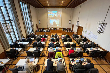 Das Bild zeigt den Großen Sitzungssaal im Rathaus.