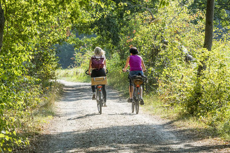 Zwei Radfahrende auf einem Weg umgeben von Bäumen und Sträuchern.