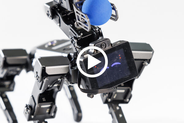 Roboterhund