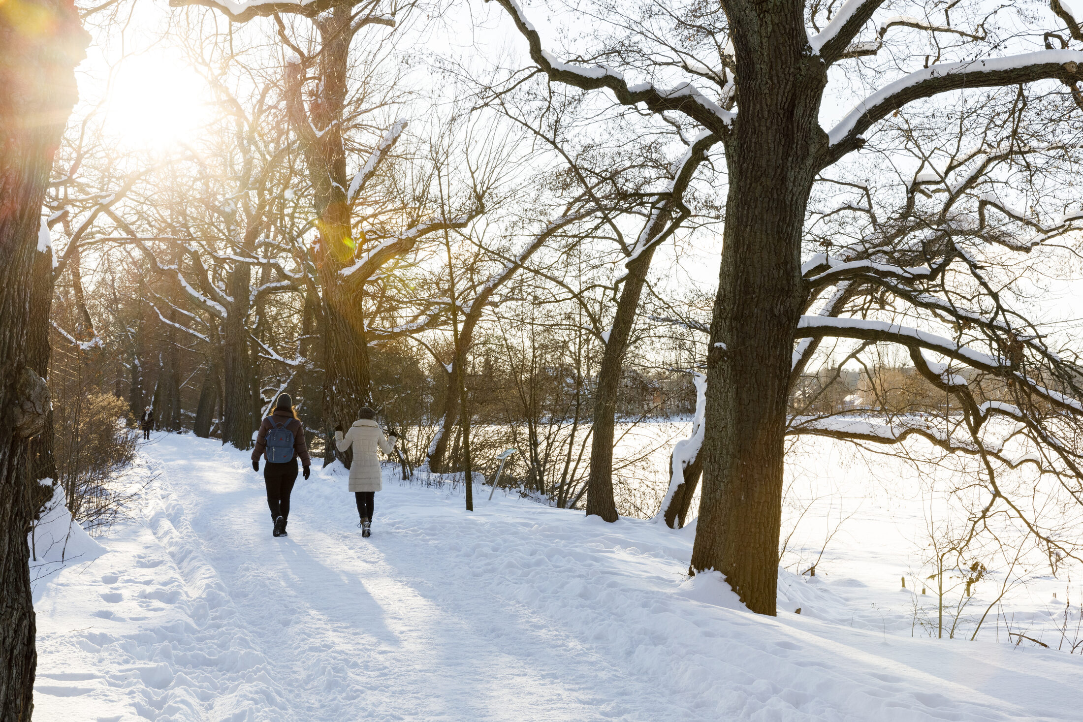 Winterlandschaft (Wird bei Klick vergrößert)