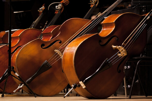 Basses standing on the stage in a symphony orchestra (Wird bei Klick vergrößert)