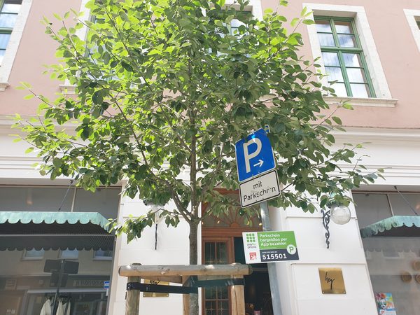 Verkehrsschild Parkplatz mit Zusatz Handyparken (Wird bei Klick vergrößert)