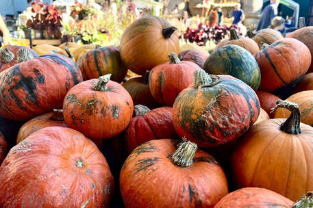 Kürbisse im Herbst