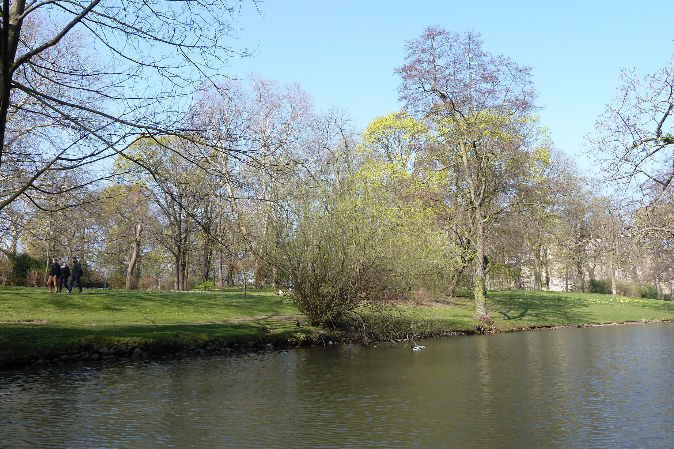 Frühling an der Oker (Wird bei Klick vergrößert)