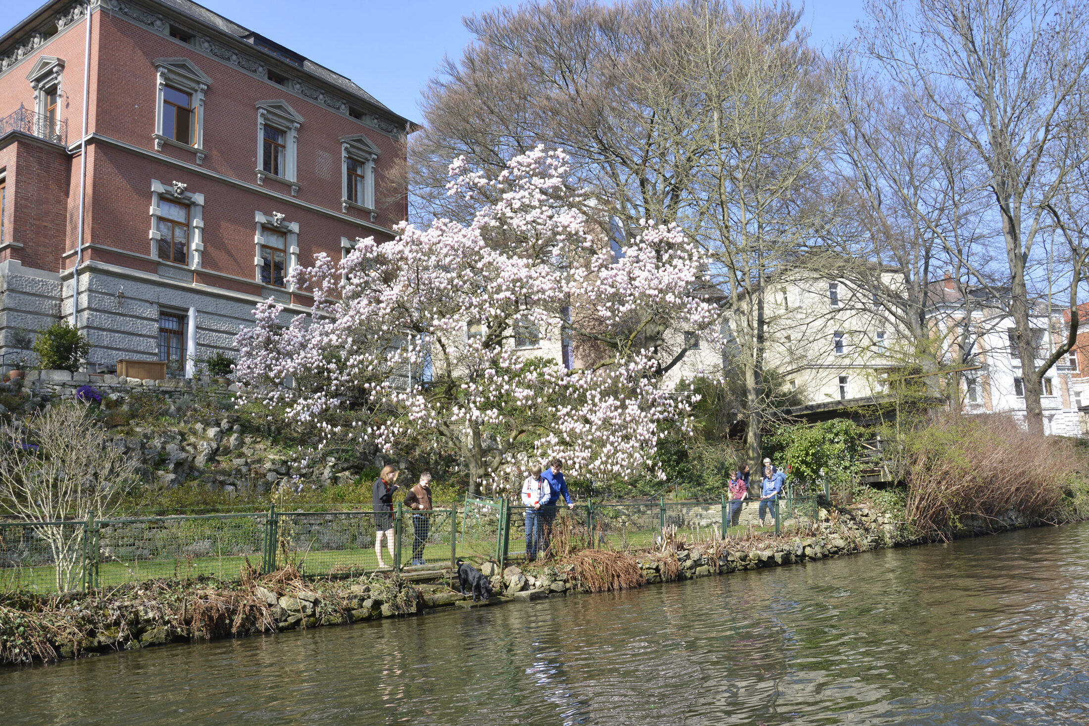 An der Oker (Wird bei Klick vergrößert)