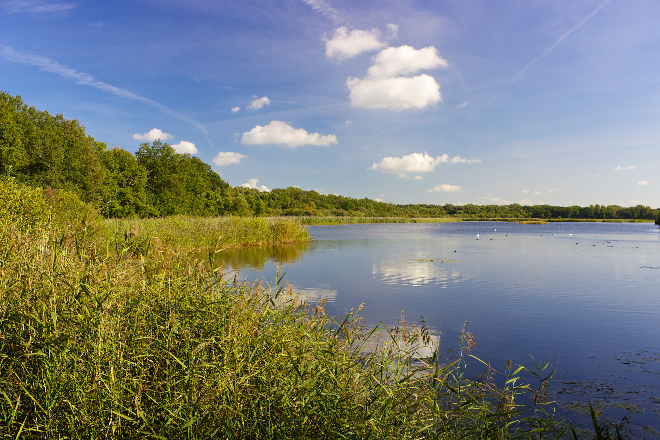 Schapenbruchteich (Wird bei Klick vergrößert)