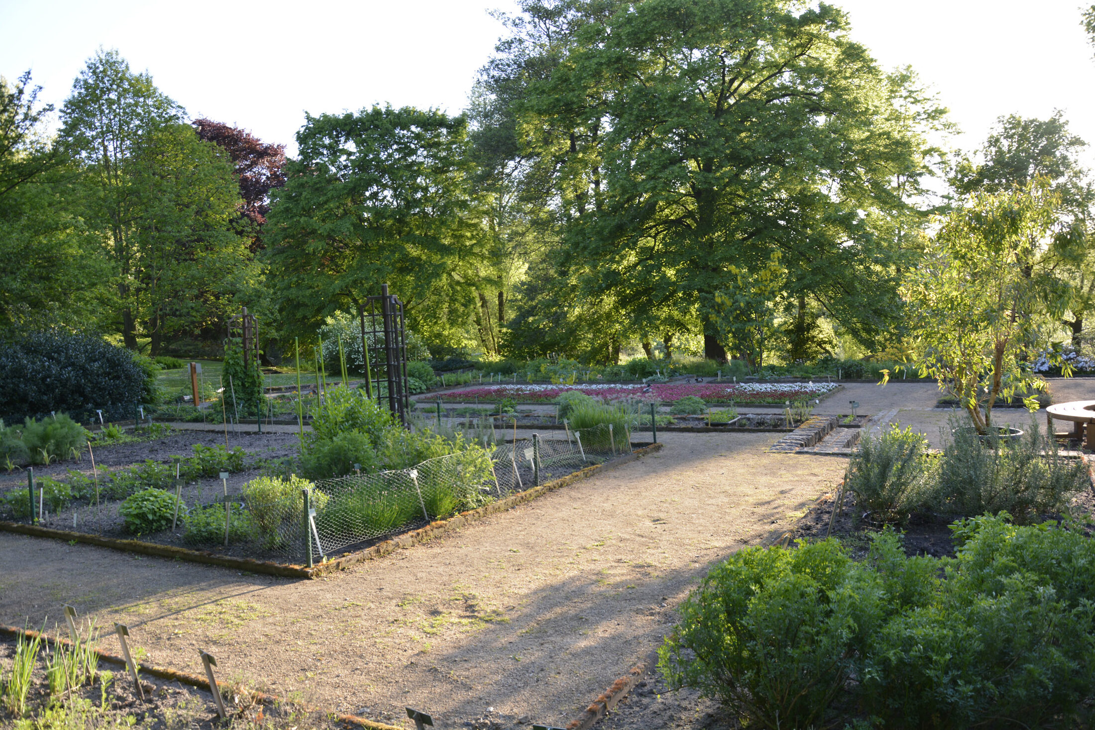 Schul- und Bürgergarten (Wird bei Klick vergrößert)