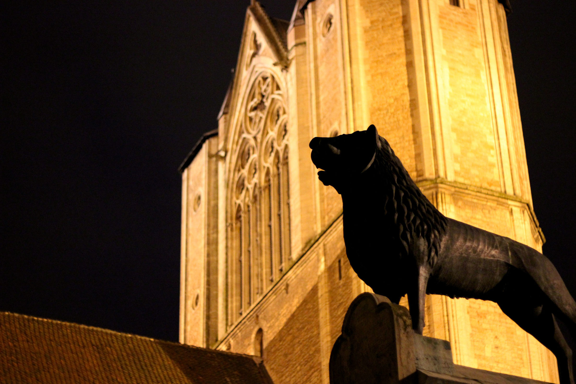 Löwenstandbild vor dem Dom (Wird bei Klick vergrößert)