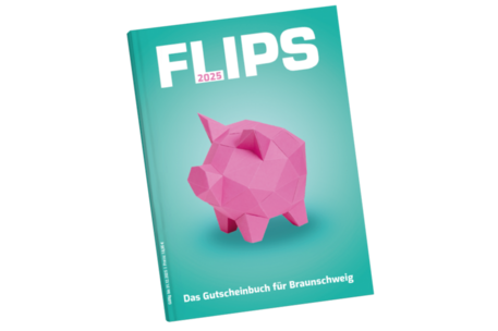 Flips 2025
