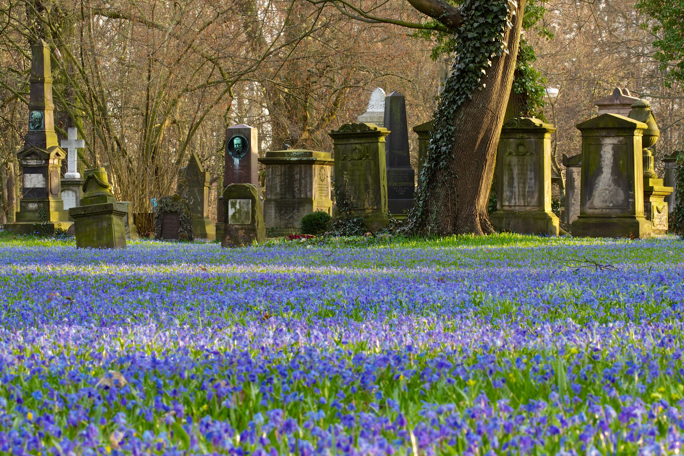 Dom- und St. Magnifriedhof (Zoom on click)