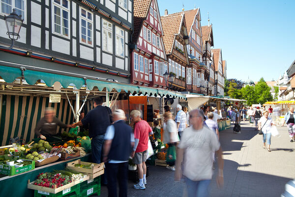 Markt in der Celler Innenstadt. (Wird bei Klick vergrößert)