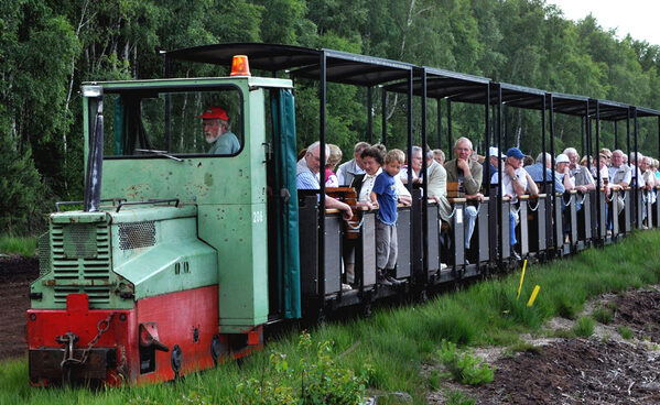 Fahrt mit der Schmalspurbahn in das Große Moor. (Zoom on click)