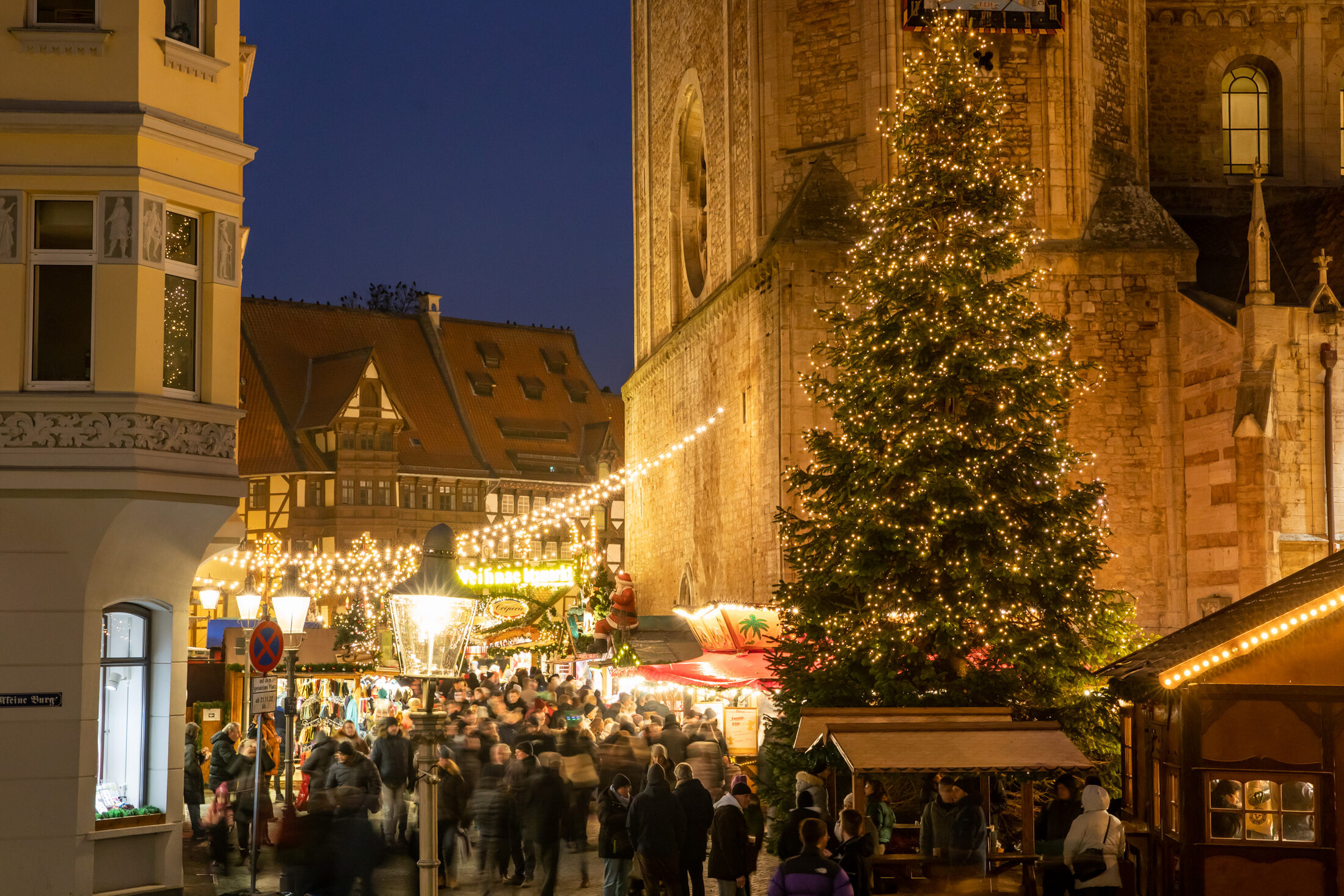 Weihnachtliche Tanne vor dem Dom. (Wird bei Klick vergrößert)