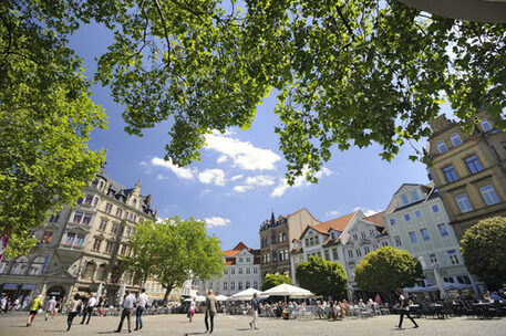 Das Bild zeigt den Kohlmarkt in Braunschweig mit Passanten. Am oberen Rand sind die grünen Blätter von Bäumen zu sehen.