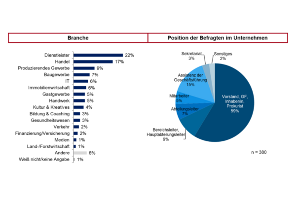 Grafik Branche und Position (Wird bei Klick vergrößert)