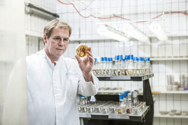 Prof.Stadler, Foto: HZI/Thomas Steuer (Wird bei Klick vergrößert)