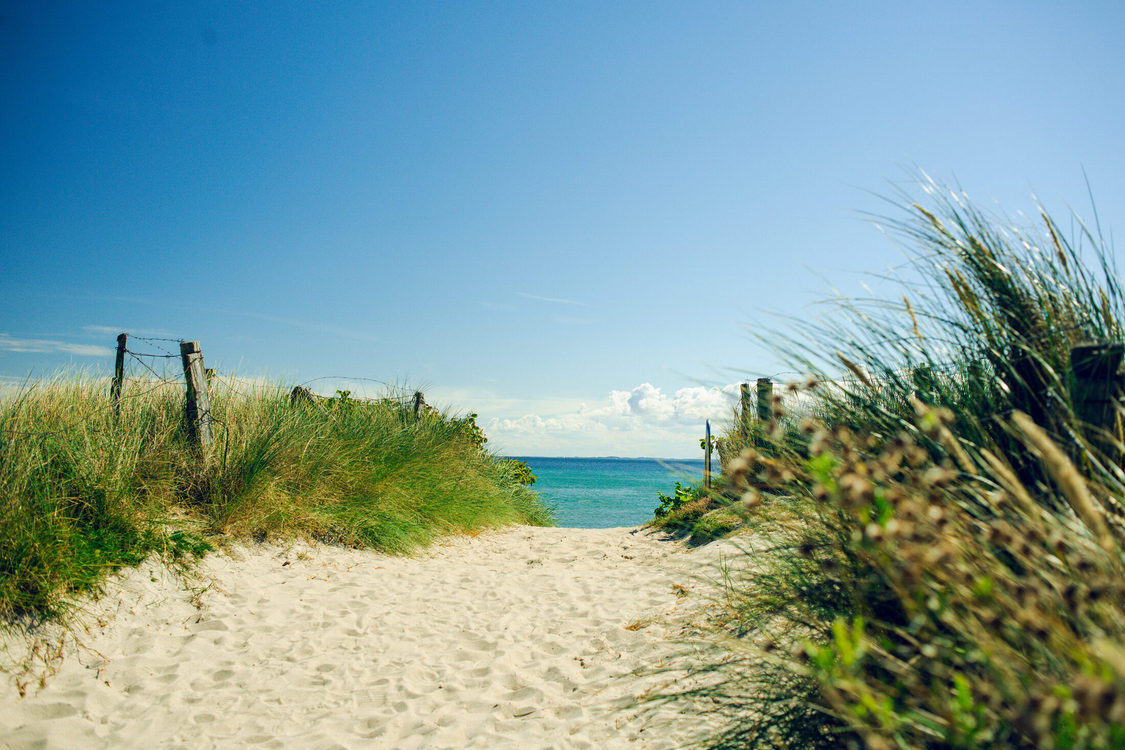 Blick auf Strand (Wird bei Klick vergrößert)